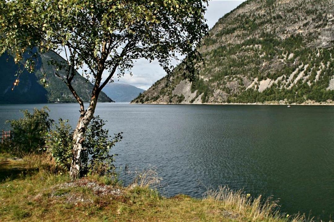 Kvammehuset Pa Gamle Laerdalsoyri Villa Buitenkant foto