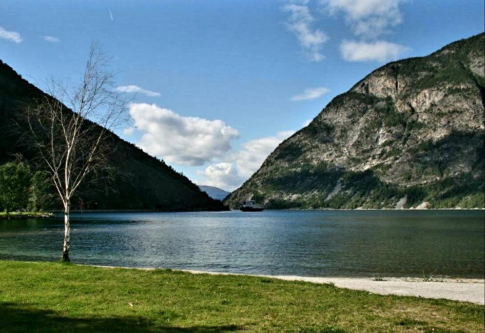 Kvammehuset Pa Gamle Laerdalsoyri Villa Buitenkant foto