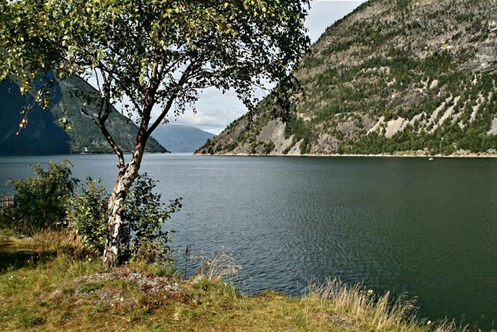 Kvammehuset Pa Gamle Laerdalsoyri Villa Buitenkant foto