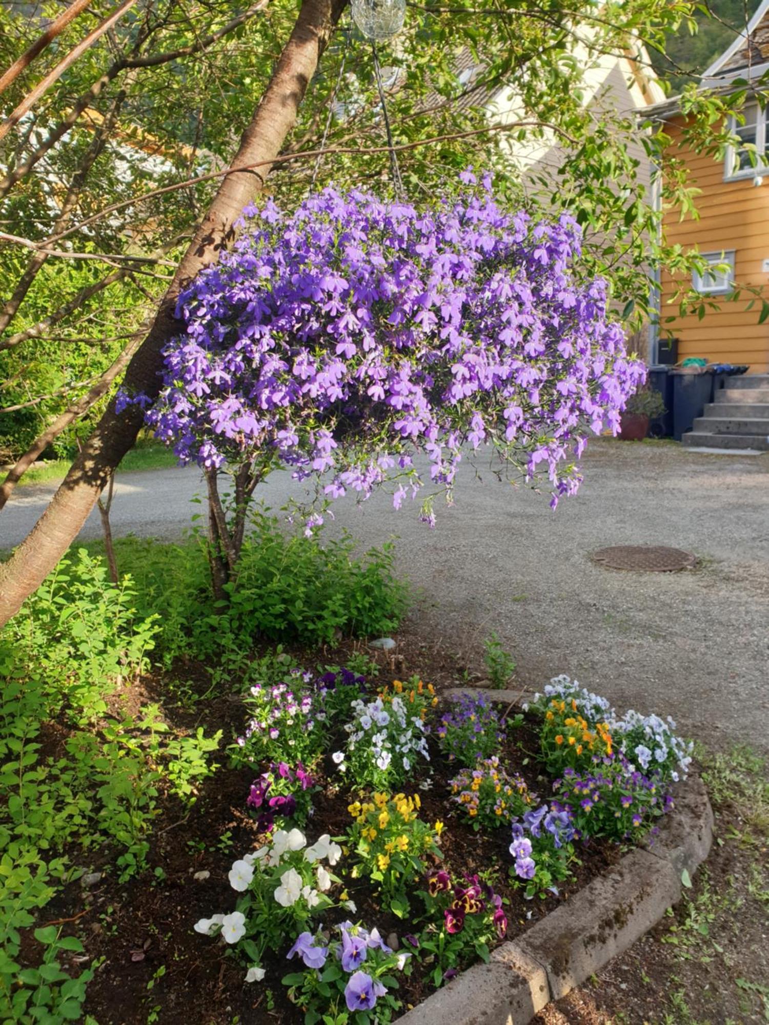 Kvammehuset Pa Gamle Laerdalsoyri Villa Buitenkant foto