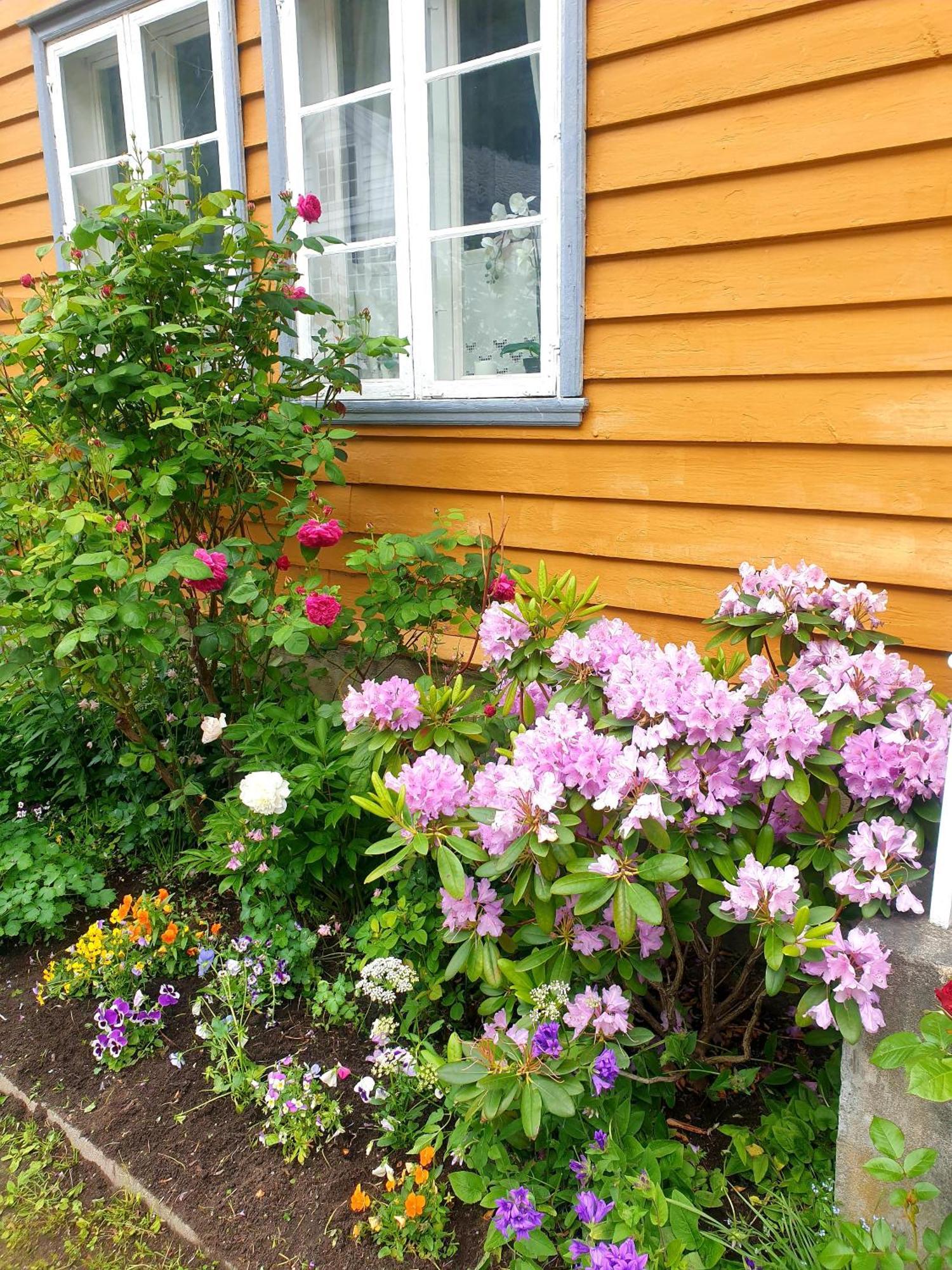 Kvammehuset Pa Gamle Laerdalsoyri Villa Buitenkant foto