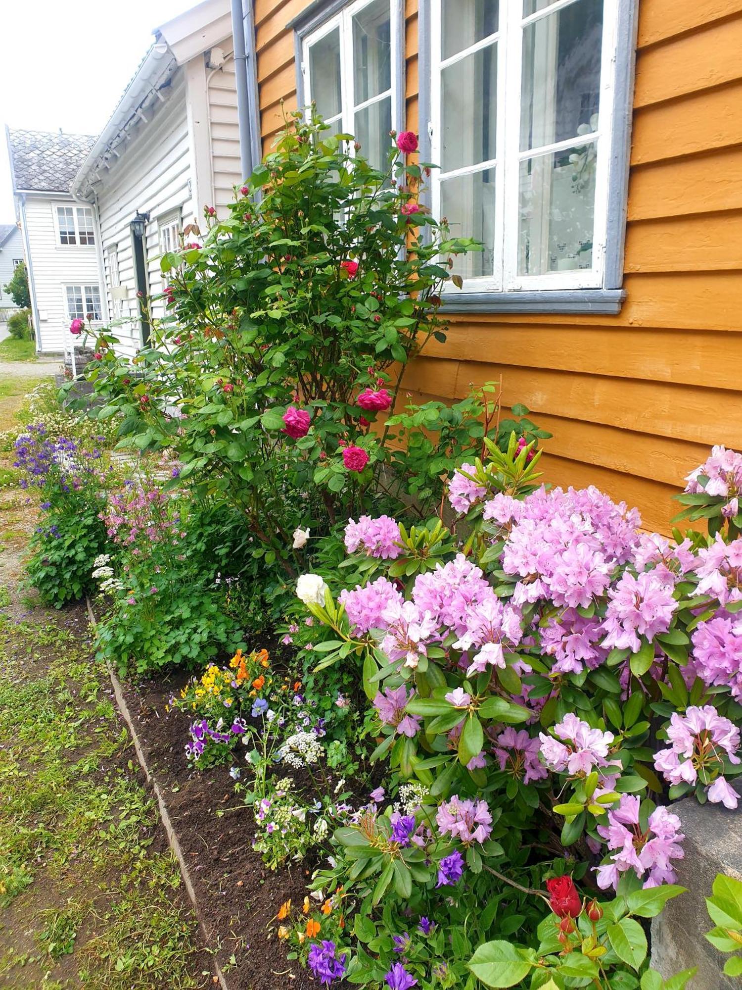 Kvammehuset Pa Gamle Laerdalsoyri Villa Buitenkant foto